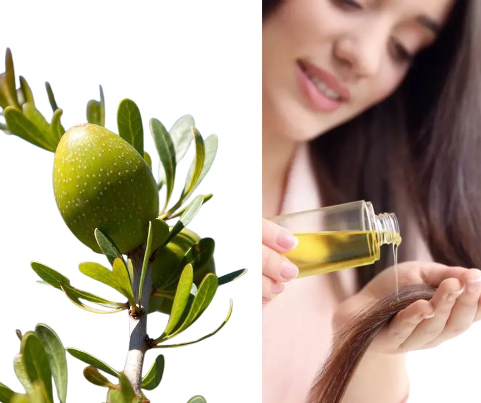 The Benefits of Argan Oil for Hair Health